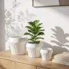 Wholesale Ribbed Ceramic Plant Pots – Modern Round Planters