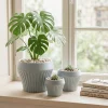 Wholesale Ribbed Ceramic Plant Pots – Modern Round Planters