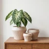Wholesale Ribbed Ceramic Plant Pots – Modern Round Planters