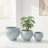 Wholesale Sculptural Ceramic Plant Pots for Retailers