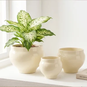 Wholesale Sculptural Ceramic Plant Pots for Retailers