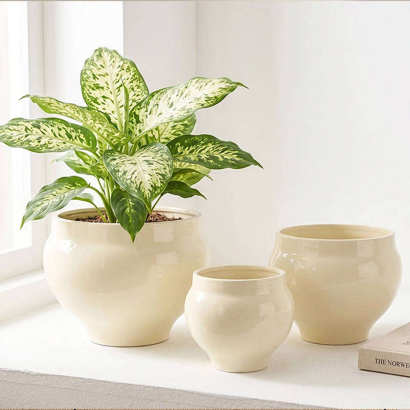 Wholesale Sculptural Ceramic Plant Pots for Retailers