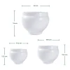 Wholesale Sculptural Ceramic Plant Pots for Retailers
