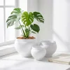 Wholesale Sculptural Ceramic Plant Pots for Retailers