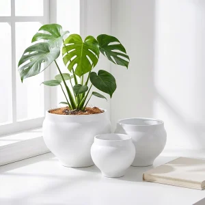 Wholesale Sculptural Ceramic Plant Pots for Retailers