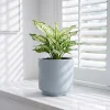 Wholesale Textured Ceramic Flower Pot – Geometric Decorative Planter