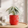 Wholesale Textured Ceramic Flower Pot – Geometric Decorative Planter