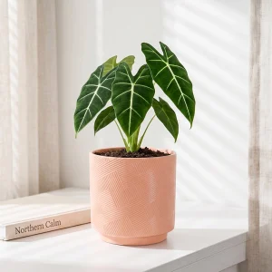 Wholesale Textured Ceramic Flower Pot – Geometric Decorative Planter